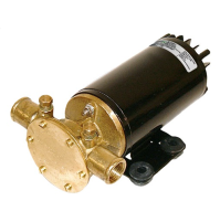 DC Driven Pump F4B-19 - 48LPM - PP10-24689-01X - Johnson Pump